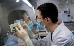 Nỗi sợ làn sóng Covid-19 thứ hai 'làm nóng' cuộc đua tìm vaccine